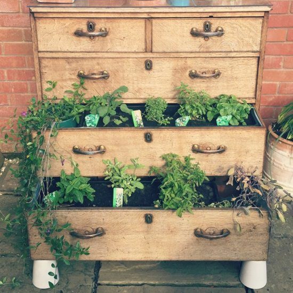 1652462439 977 Garden decoration with old drawers for an attractive place to - Garden decoration with old drawers for an attractive place to relax