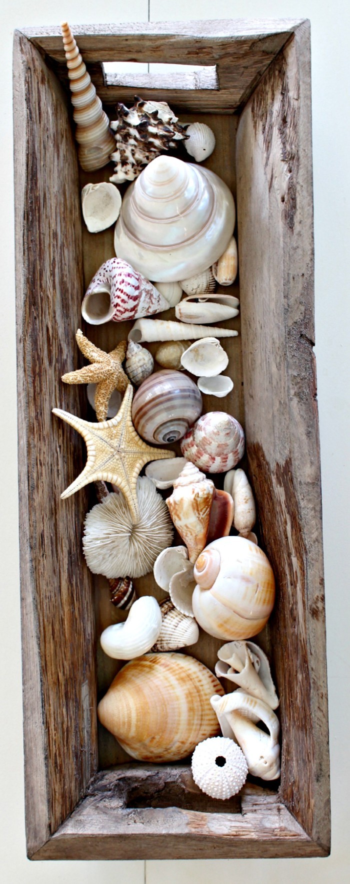 1652599021 970 30 DIY ideas for crafts with seashells from summer vacation - 30 DIY ideas for crafts with seashells from summer vacation