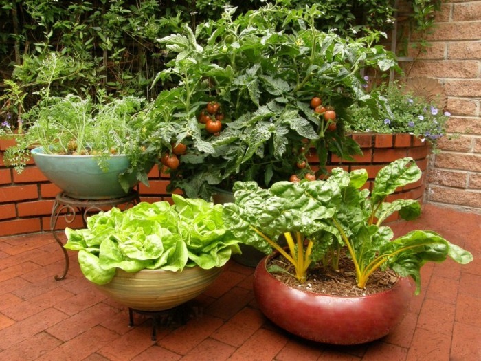 1652602662 447 Create a vegetable garden and look forward to a happy - Create a vegetable garden and look forward to a happy harvest on the balcony or terrace