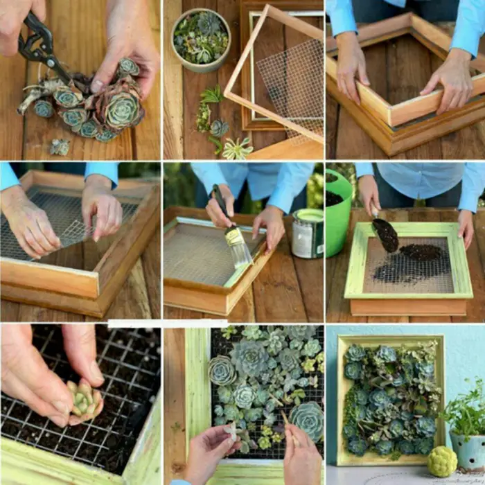 1652648782 19 Decorate walls with mini vertical gardens of succulents - Decorate walls with mini vertical gardens of succulents