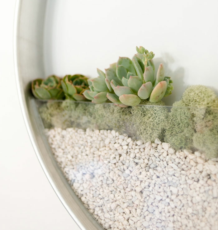 1652648782 29 Decorate walls with mini vertical gardens of succulents - Decorate walls with mini vertical gardens of succulents
