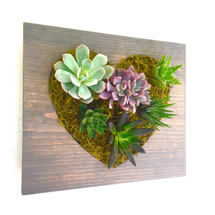 1652648783 463 Decorate walls with mini vertical gardens of succulents - Decorate walls with mini vertical gardens of succulents