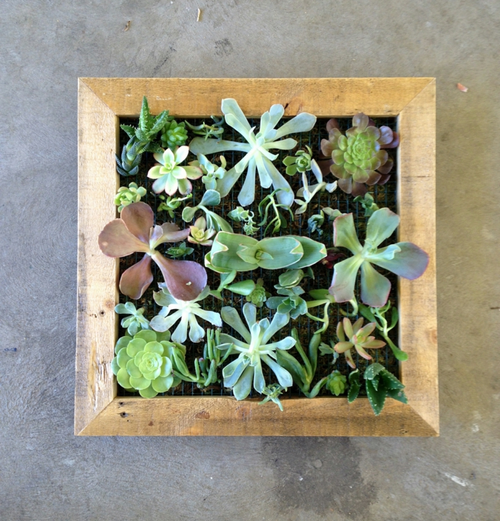1652648786 314 Decorate walls with mini vertical gardens of succulents - Decorate walls with mini vertical gardens of succulents
