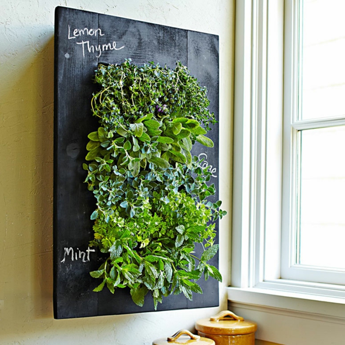 1652648788 29 Decorate walls with mini vertical gardens of succulents - Decorate walls with mini vertical gardens of succulents