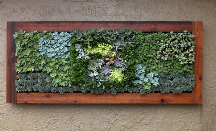 1652648790 262 Decorate walls with mini vertical gardens of succulents - Decorate walls with mini vertical gardens of succulents