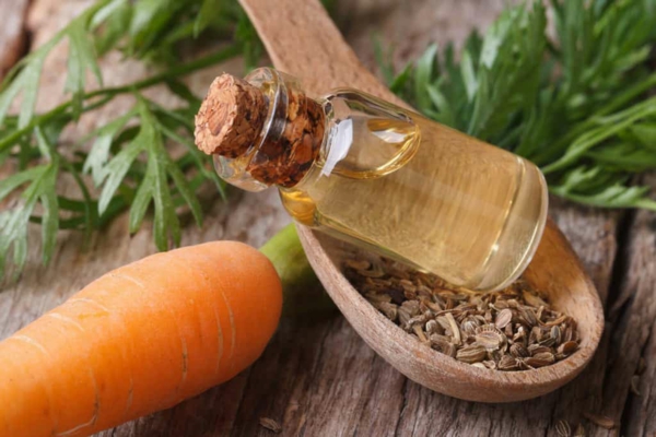 1652789362 549 Carrot oil whats behind the new beauty hype - Carrot oil - what's behind the new beauty hype?