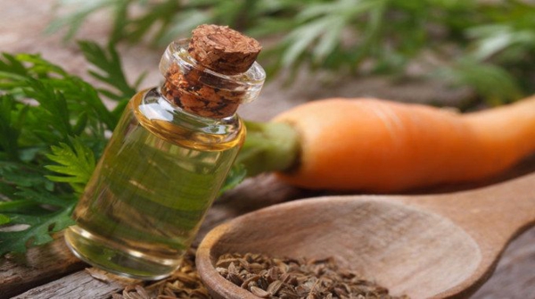 1652789367 95 Carrot oil whats behind the new beauty hype - Carrot oil - what's behind the new beauty hype?