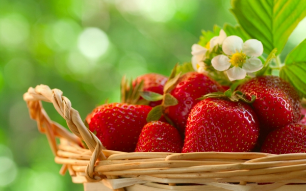 Are Strawberries Healthy Find the answer to this question here - Are Strawberries Healthy?  Find the answer to this question here with us...