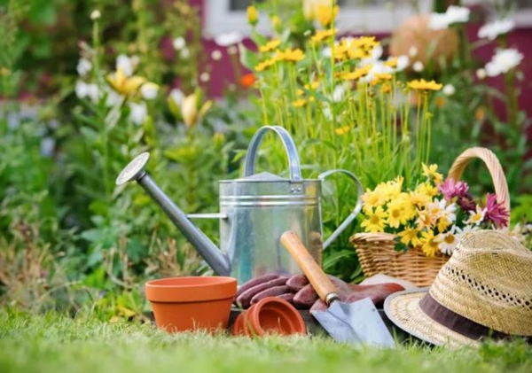 Gardening in May tips and checklist for a better - Gardening in May - tips and checklist for a better overview
