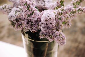 How can lilacs last long in the vase 300x200 - How can lilacs last long in the vase?