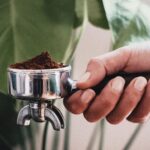 How can you use coffee grounds as flower fertilizer – 150x150 - Coffee grounds against ants in the lawn and garden