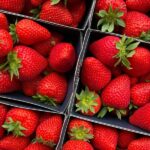 Storing freezing drying strawberries – tips for long lasting freshness 150x150 - Short Bob- 42 cheeky and sexy examples of women's trend hairstyles 2022