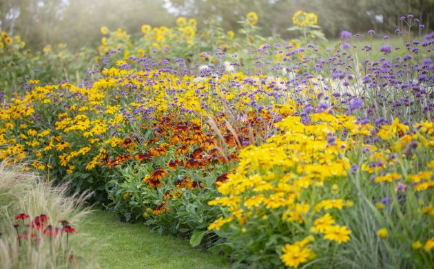 10 of the most beautiful flowering perennials that bloom all summer long