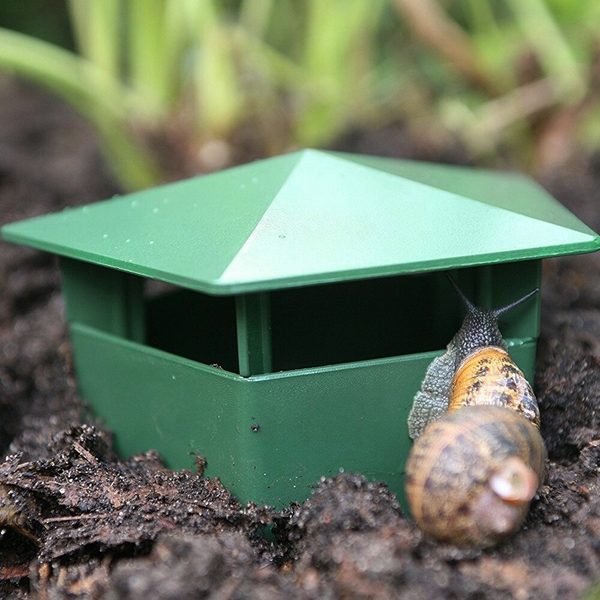 1654729948 165 Build a snail trap yourself some clever ideas plus instructions - Build a snail trap yourself: some clever ideas plus instructions