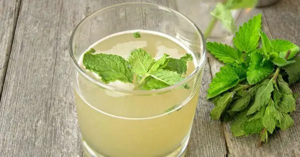 1654820853 328 Great idea how to make delicious summer mint syrup yourself - Great idea how to make delicious summer mint syrup yourself and 3 healthy tips!