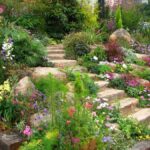 Planting a slope - with these ideas and tips it is guaranteed to succeed!