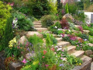Planting a slope - with these ideas and tips it is guaranteed to succeed!