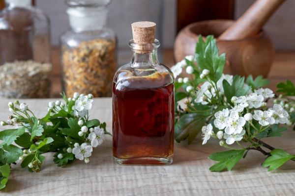 1655401146 453 Make hawthorn tincture yourself effect and application - Make hawthorn tincture yourself - effect and application