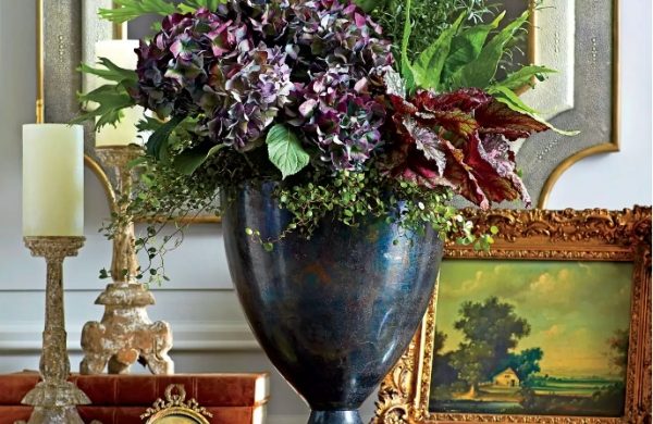 1655461603 787 Hydrangeas in a pot bring a Mediterranean flair to - Hydrangeas in a pot - bring a Mediterranean flair to your outdoor area