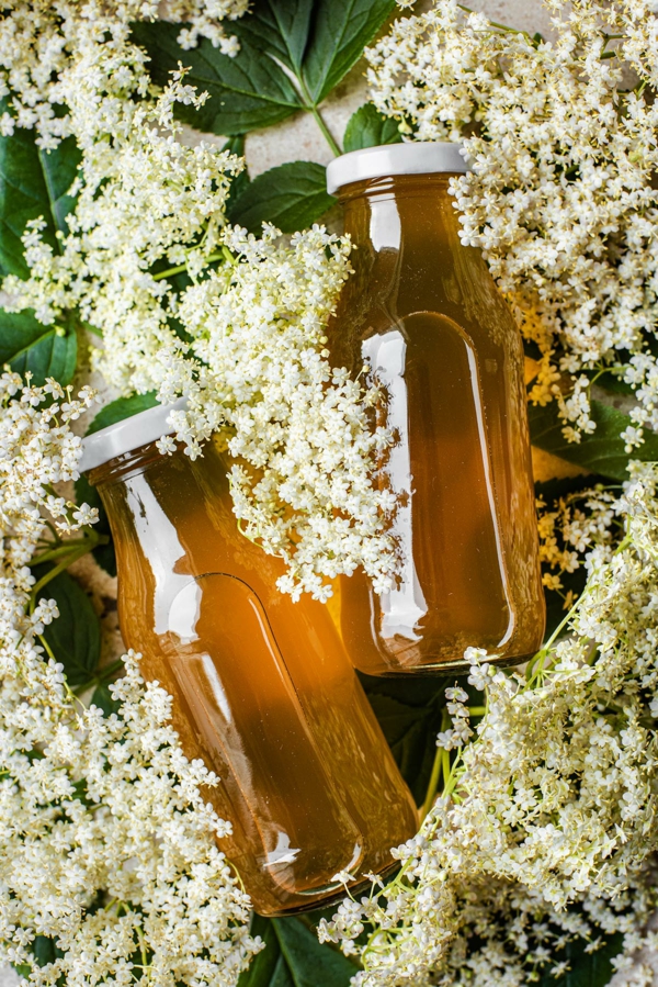 Make elderflower juice yourself healthy recipes and ideas in - Make elderflower juice yourself - healthy recipes and ideas in June