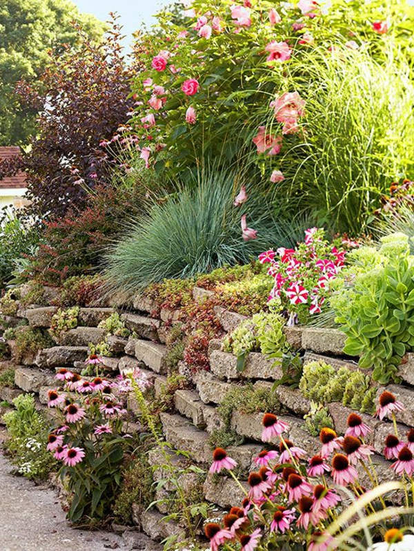 Planting a slope with these ideas and tips it - Planting a slope - with these ideas and tips it is guaranteed to succeed!