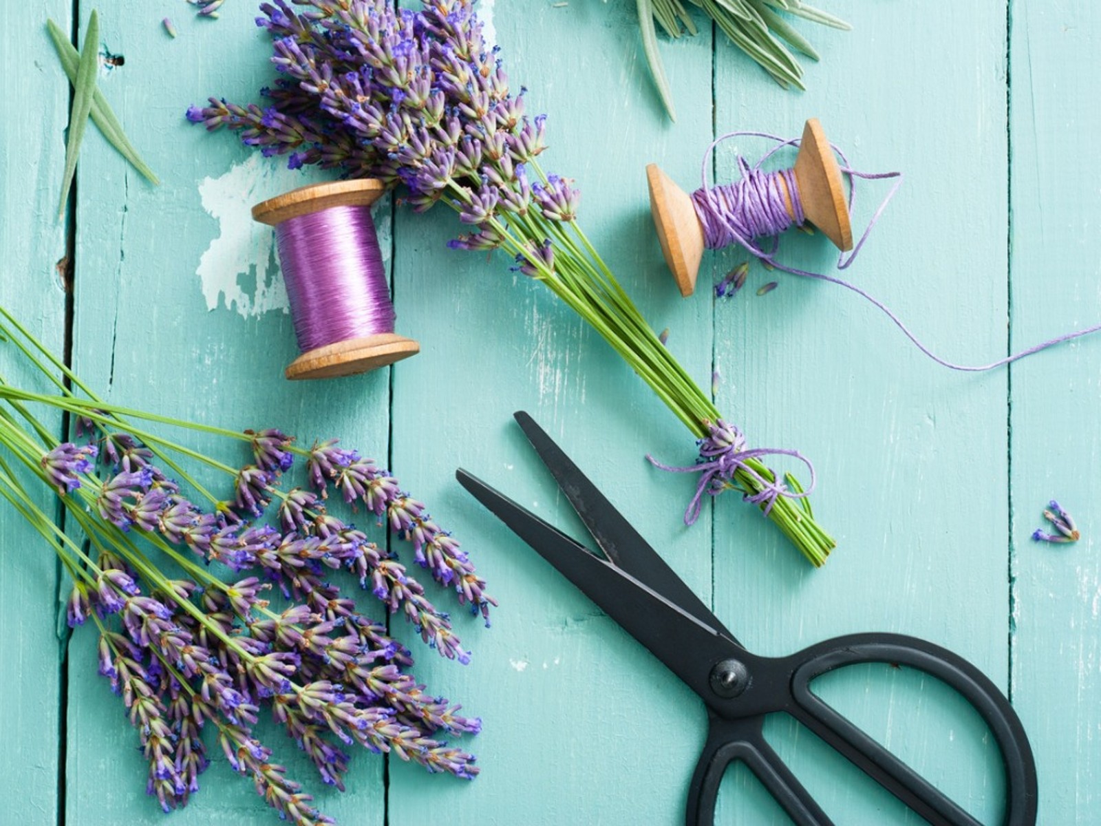 Handicrafts with lavender - 7 simple DIY ideas for floral decoration