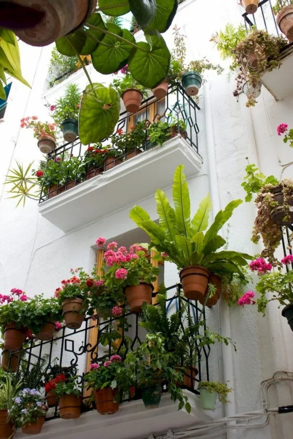 1681839958 991 Plant balcony boxes fresh ideas and useful tips.webp - Plant balcony boxes - fresh ideas and useful tips