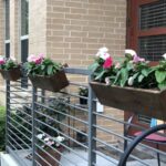 Plant balcony boxes - fresh ideas and useful tips