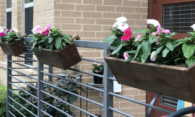 Plant balcony boxes - fresh ideas and useful tips