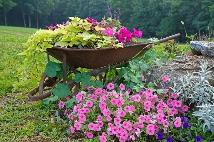 1681927739 519 Create a beautiful garden with little money.webp - Create a beautiful garden with little money!