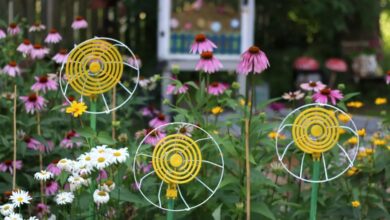 Make upcycling garden decoration yourself - 70 simple garden ideas with a guaranteed WOW effect