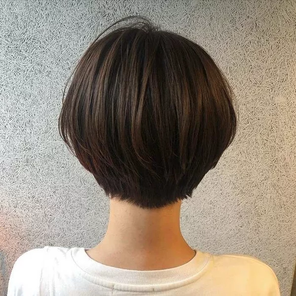 Bob short hairstyles short tapered bob more volume at the back of the head 