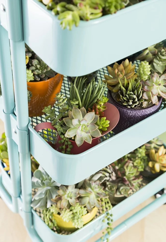 1682628566 805 15 smart Ikea garden ideas that will make you rethink.webp - 15 smart Ikea garden ideas that will make you rethink