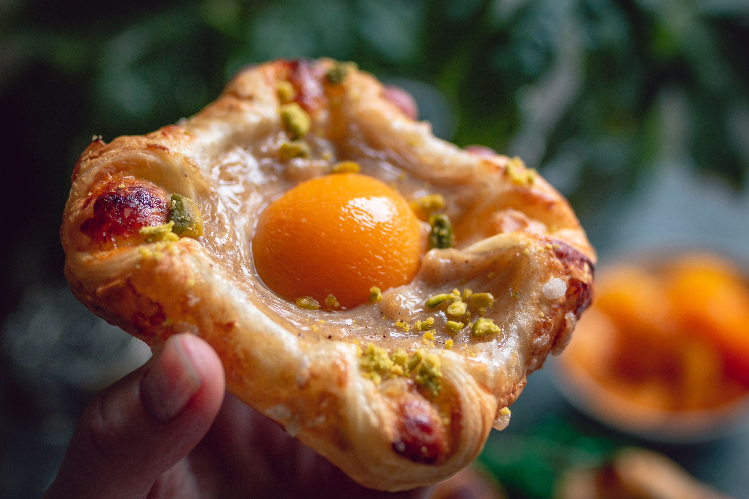 Vegan apricotist