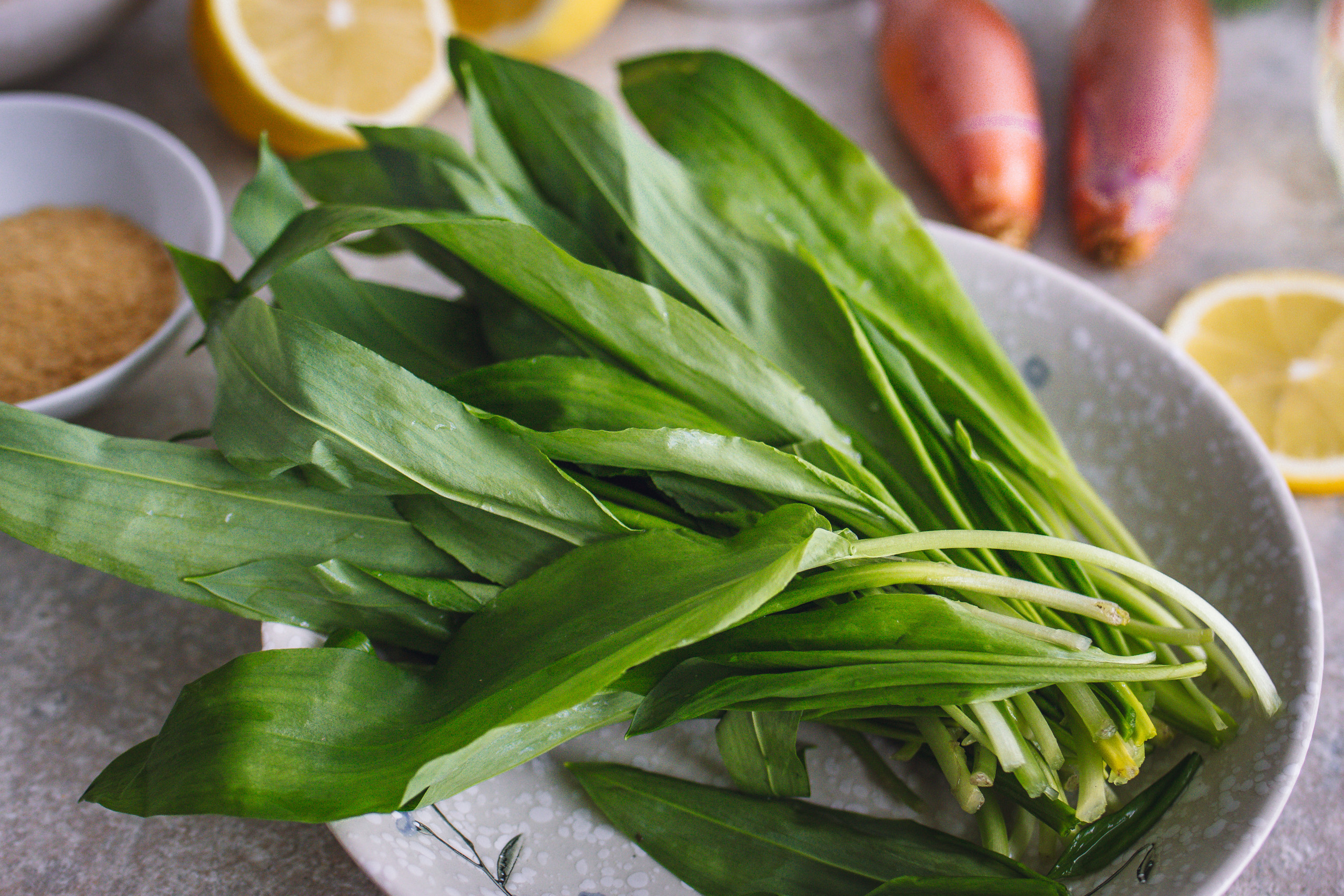 Fresh wild garlic