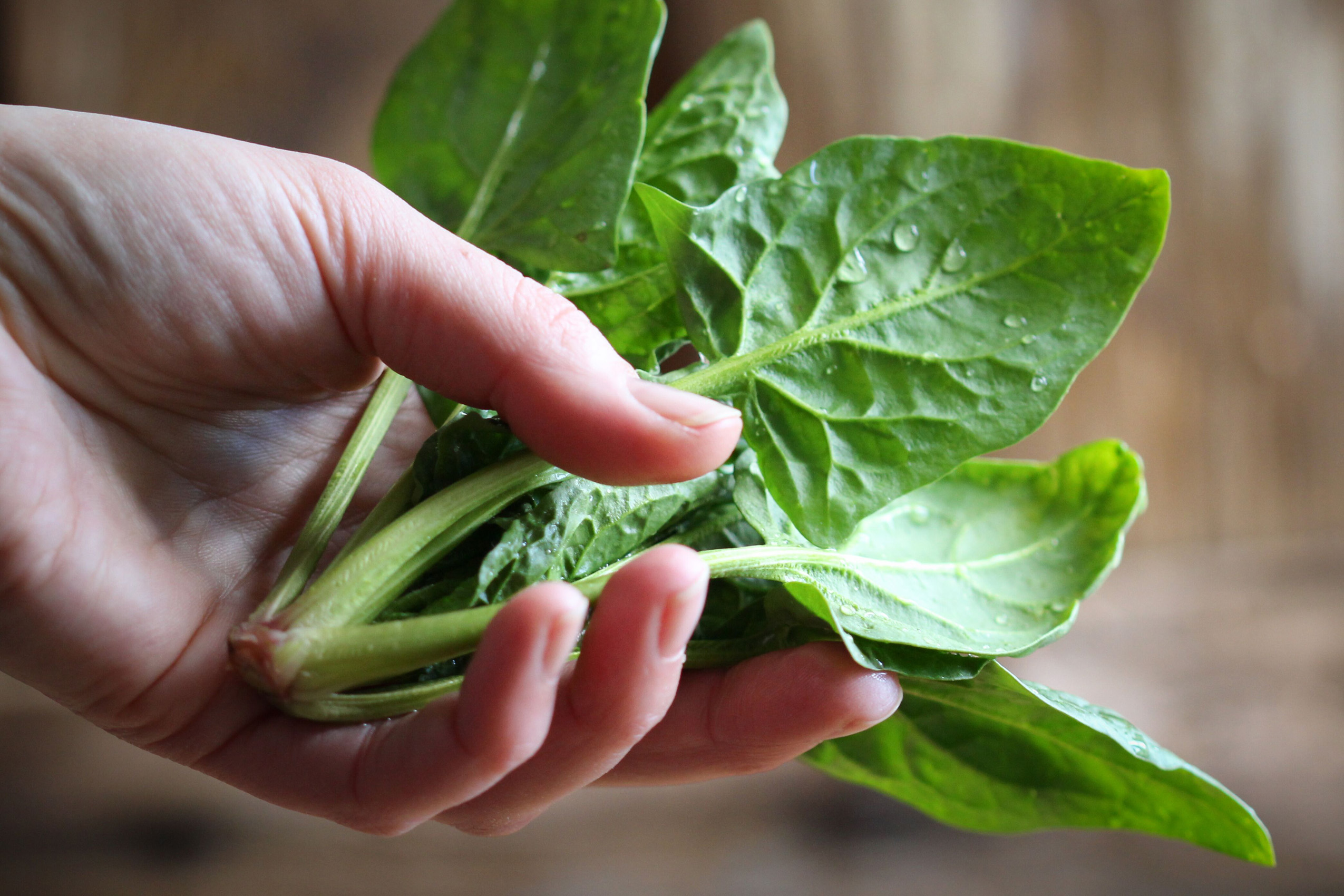 Fresh spinach