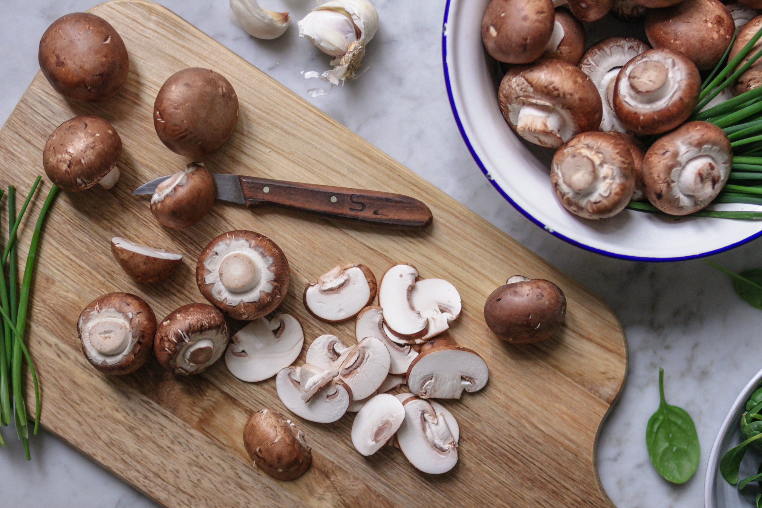 Cut up stone mushrooms