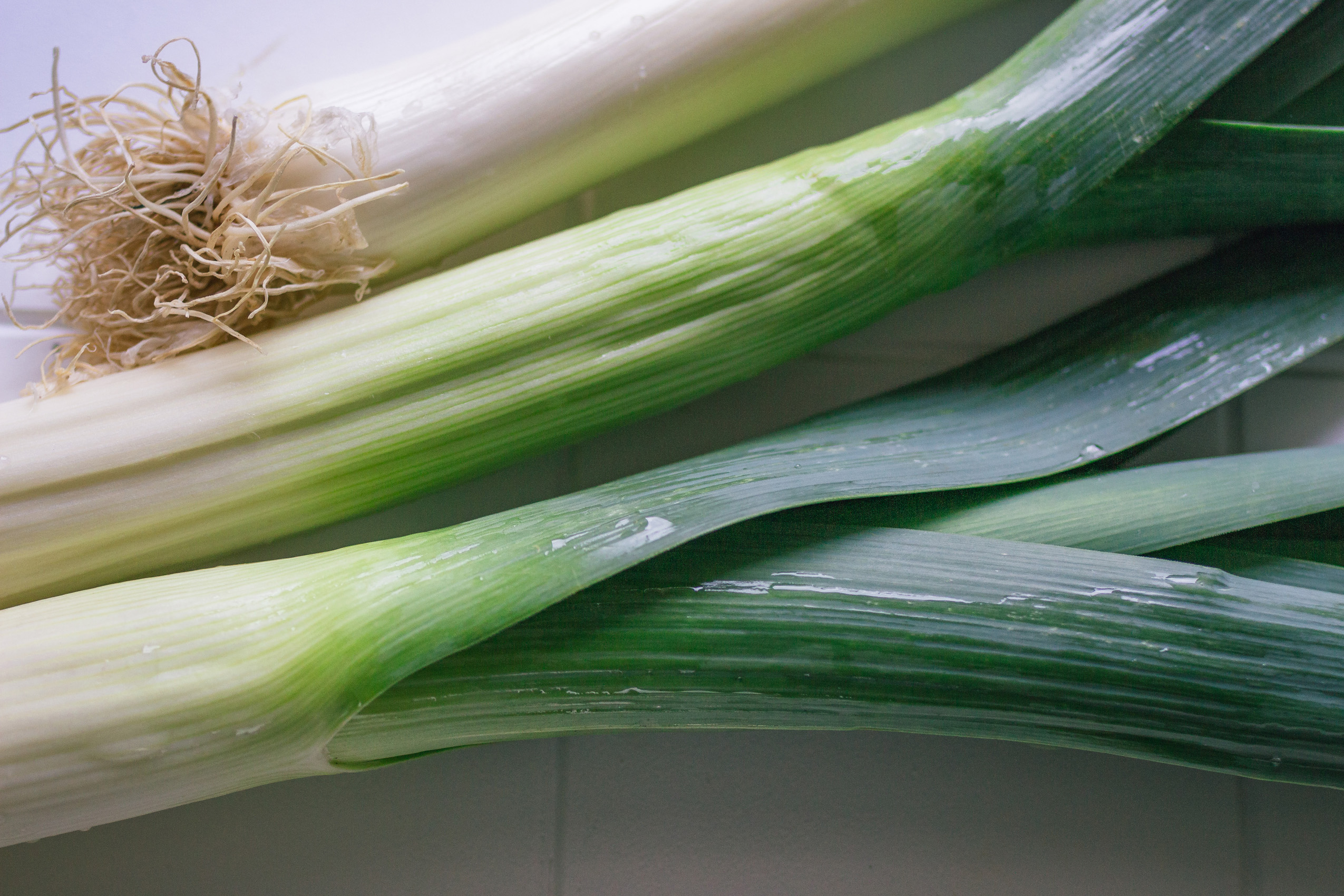 Leek rods close to white underground