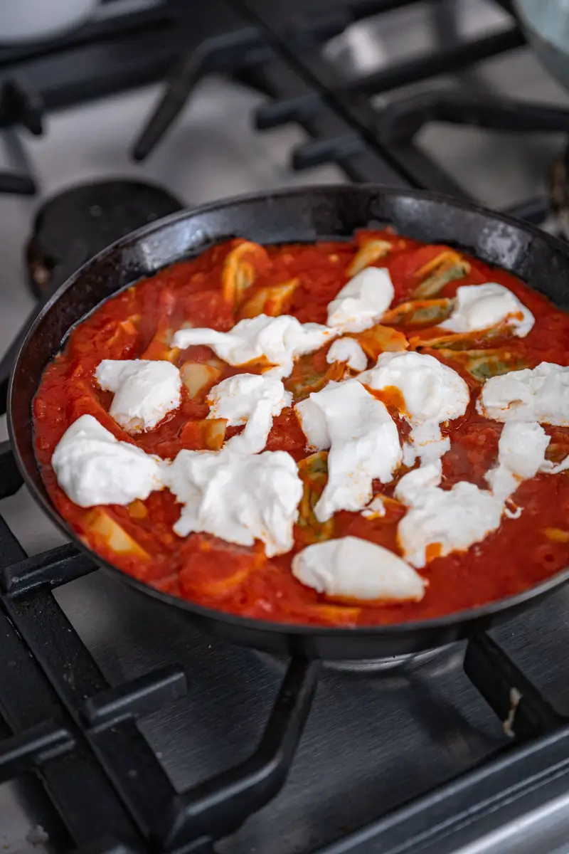 Fast dumplings recipe trickytine