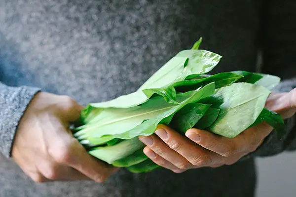 Fresh wild garlic gives this spring soup a distinctive aroma.
